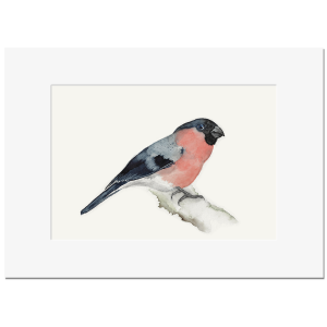 DOMPFAFF <br>Kunstdruck 13x18