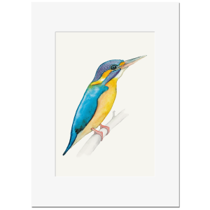 EISVOGEL <br>Kunstdruck 13x18