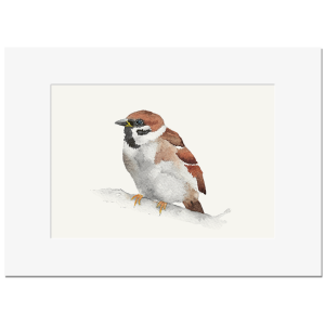 FELDSPERLING <br>Kunstdruck 13x18