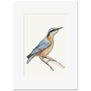 KLEIBER <br>Kunstdruck 13x18