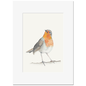 ROTKEHLCHEN <br>Kunstdruck 13x18