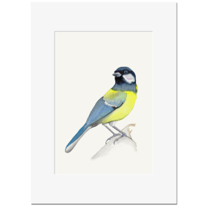 KOHLMEISE <br>Kunstdruck 13x18