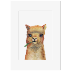 ArtPrint "LAMA"