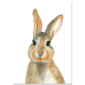Mini Poster "HASE"
