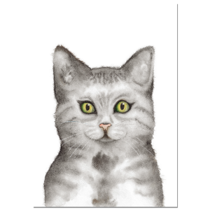 Poster "KATZE"