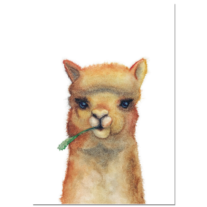 Mini Poster "LAMA"