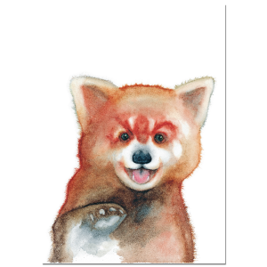 Mini Poster "ROTER PANDA"