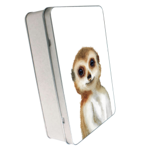 Metallbox "ERDMÄNNCHEN"