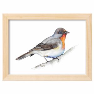<strong>ZWERGSCHNÄPPER</strong> <br>Aquarell - Fine Art Print